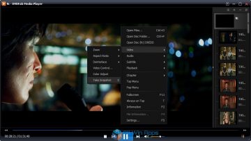 dvdfab media player pro visualization plugin