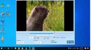 Free Video Cutter Joiner 24.2 Free Download1